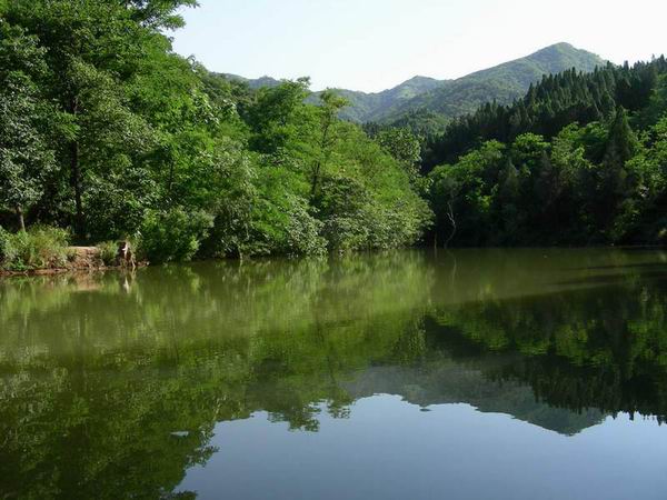 昌平区双龙山森林公园2 昌平区双龙山森林公园2